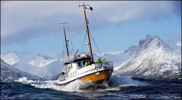 fishing-in-lofoten-norway