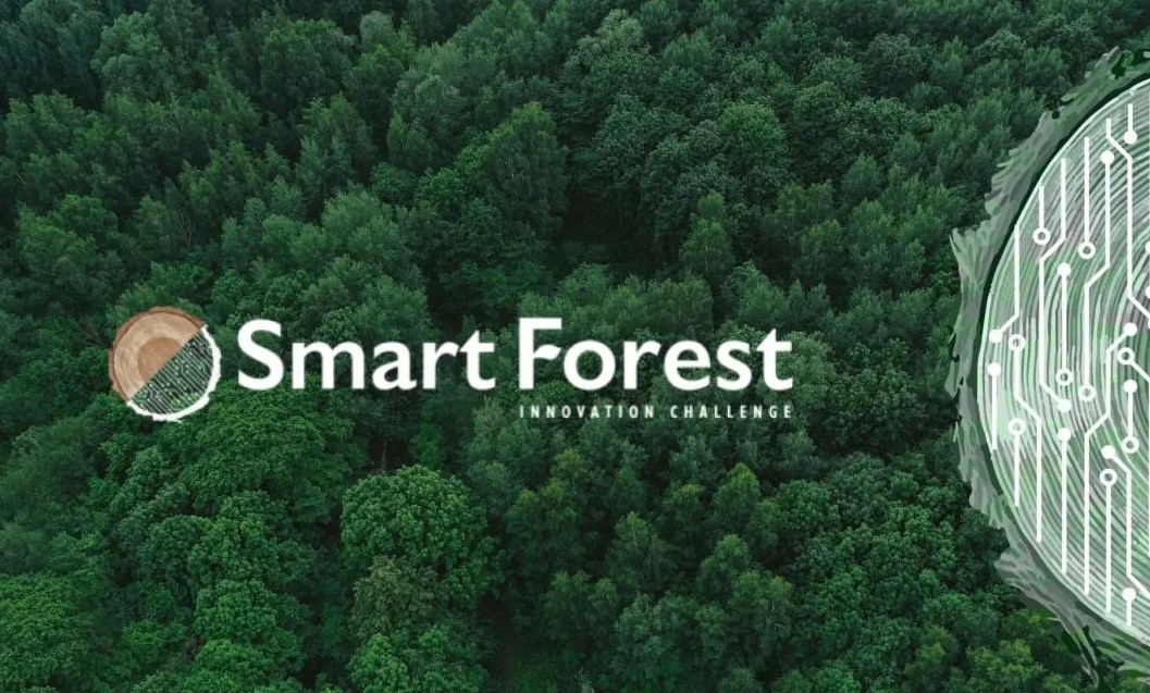 smart-forest-innovation-challenge-paratasi-ypovolis-protaseon-eos-ti-deftera-17-10-22-275267