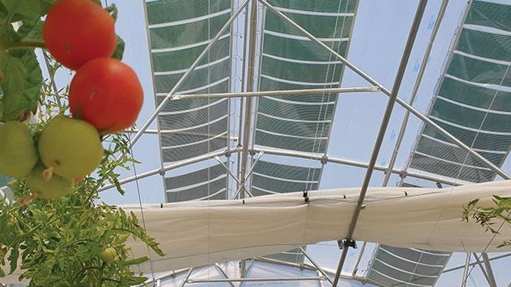 29i-agrotica-ta-ofeli-egkatastasis-agrovoltaikon-se-perioches-me-thermokipia-opos-stin-kriti-kai-tin-dytiki-makedonia-275970