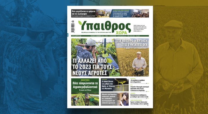 diavaste-stin-ych-ti-allazei-apo-to-2023-gia-tous-neous-agrotes-278831