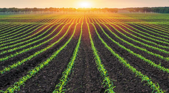 pos-ektimoun-tis-exelixeis-ston-klado-tis-agrodiatrofis-gia-to-2023-politikoi-ekprosopoi-kai-kyvernitika-stelechi-281814