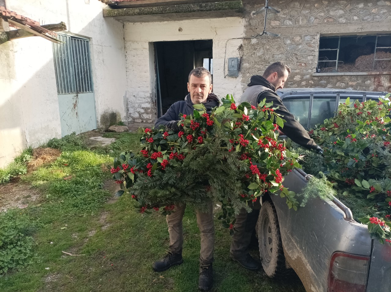 arkoudopournaro-to-fysiko-stolidi-ton-christougennon-279892