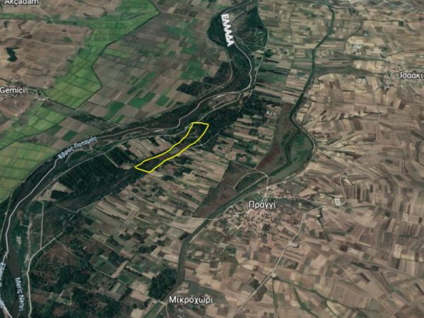 treis-diagonismoi-tis-etad-gia-agrotemachia-ston-evro-279405