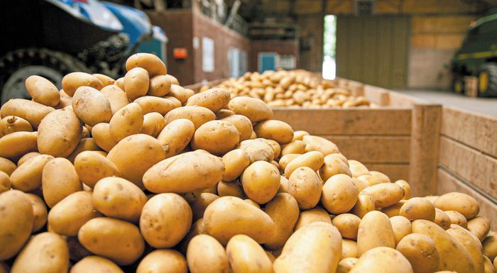 ollandia-epta-alysides-souper-market-desmevontai-stin-apokleistiki-diathesi-anthektikon-poikilion-viologikis-patatas-279509