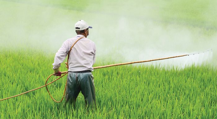meleti-i-zitisi-trofimon-stis-aneptygmenes-chores-trofodotei-ti-rypansi-apo-fytofarmaka-ston-trito-kosmo-281108