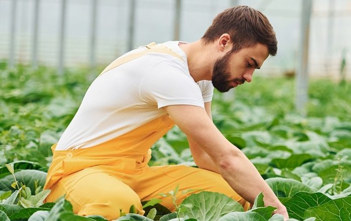 young-farmer