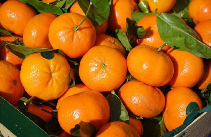 clementines