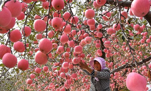 kina-meiosi-kategrapsan-oi-times-chondrikis-ton-agrotikon-proionton-tin-evdomada-23-29-iouniou-282956
