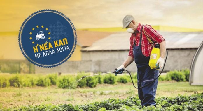 neakap-photo