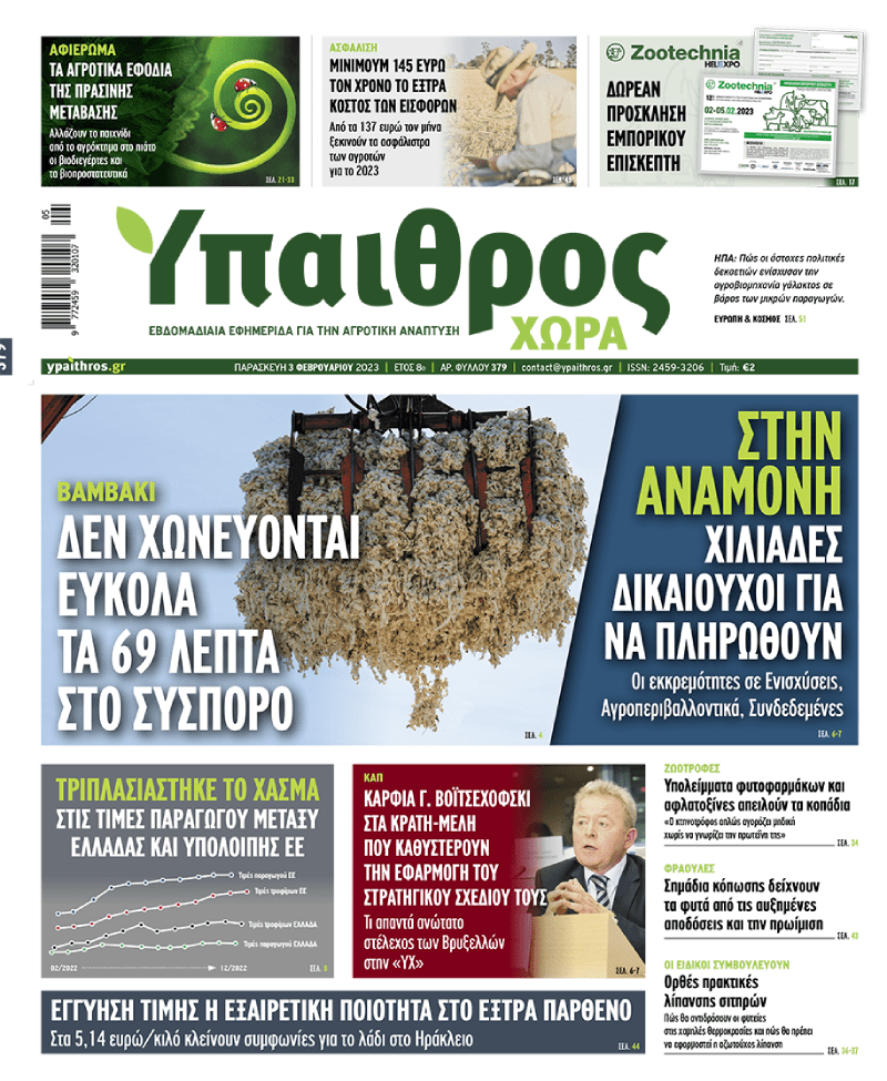 fyllo-379-paraskevi-3-fevrouariou-2023-284482