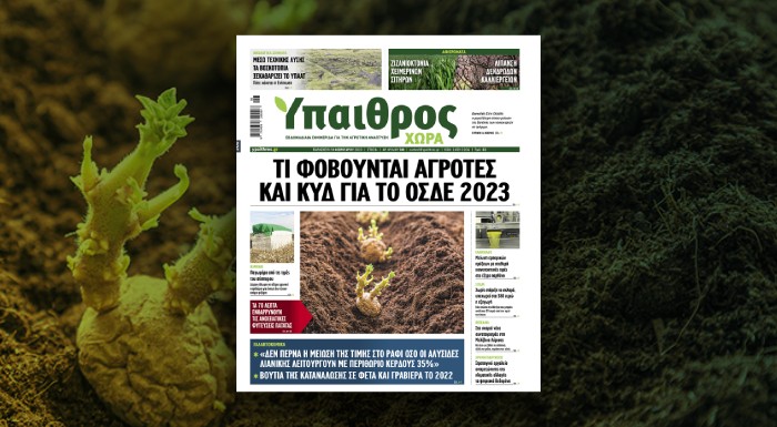diavaste-stin-ych-ti-fovountai-agrotes-kai-kyd-gia-to-osde-2023-285052