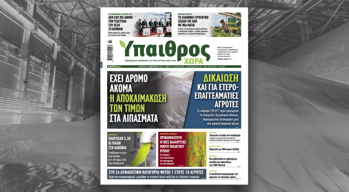diavaste-stin-ych-echei-dromo-akoma-i-apoklimakosi-ton-timon-sta-lipasmata-285649