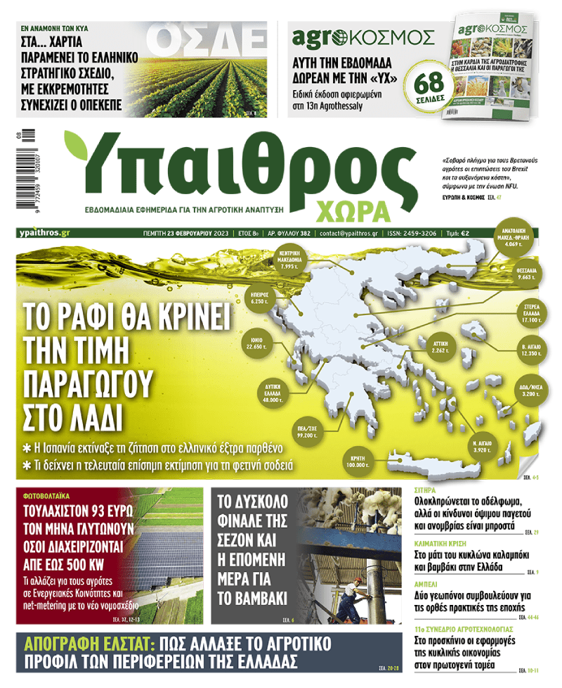 fyllo-382-pebti-23-fevrouariou-2023-286245