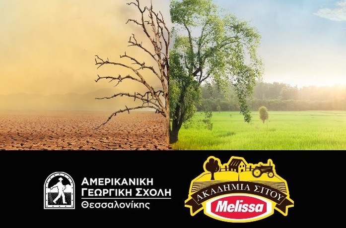 agrothessaly