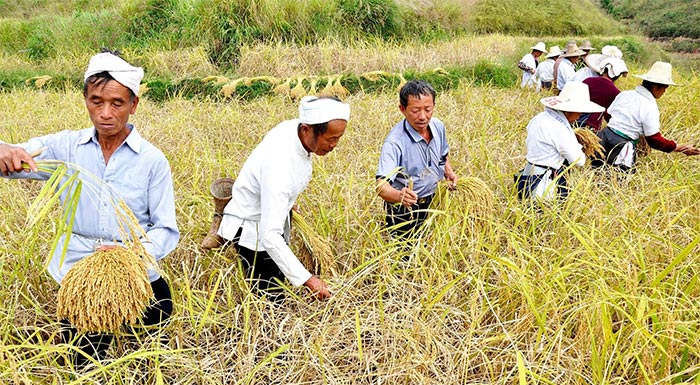 kina-etisia-afxisi-23-kategrapsan-ta-agrotika-asfalistra-to-2022-284867