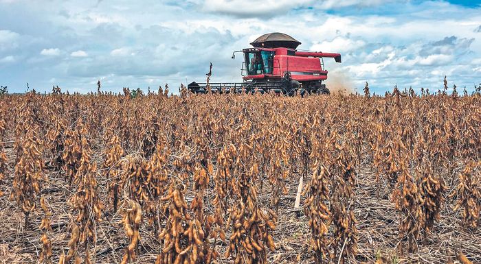 usda-se-chamilo-pentaetias-i-paragogi-sogias-stin-argentini-285948
