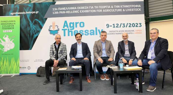 oi-meletites-zitoun-perissotero-chrono-gia-ta-nea-schedia-veltiosis-287777