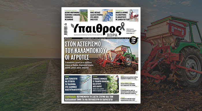 diavaste-mono-stin-ych-ston-asterismo-tou-kalabokiou-oi-agrotes-286822
