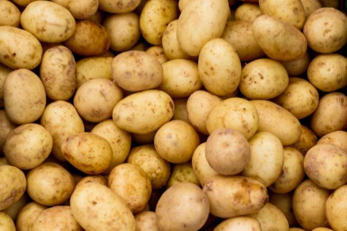 baby-potatoes-W700