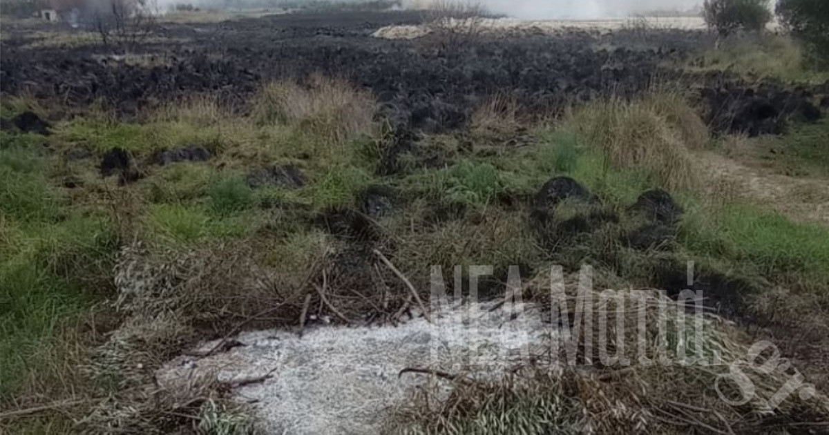 kriti-apo-tin-kafsi-kladion-stin-pyrkagia-mia-syllipsi-287018