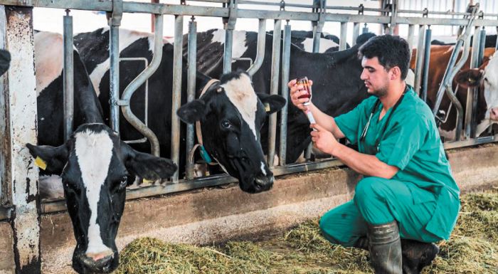 efsa-nea-meiosi-ton-ypoleimmaton-ktiniatrikon-farmakon-sta-trofima-tis-ee-287118