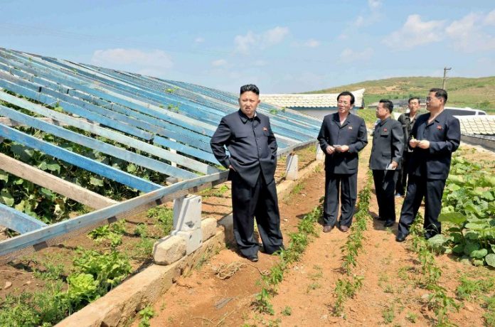 NKOREA-KIM