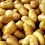 Σάπισαν οι πατάτες στα χωράφια του Φούφα Eορδαίας