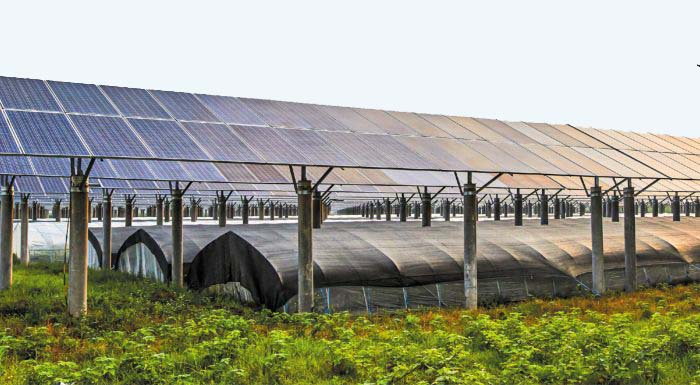 agrotika-fotovoltaika-ti-allazei-gia-tous-agrotes-se-energeiakes-koinotites-kai-net-metering-286697