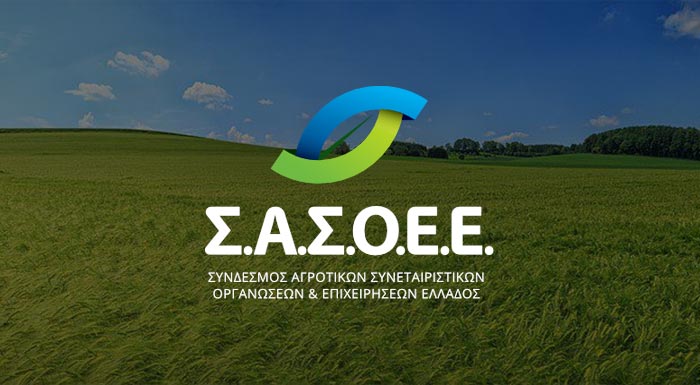 syntomo-apologismo-ton-fetinon-provlimatikon-pliromon-kanei-o-sasoe-287523