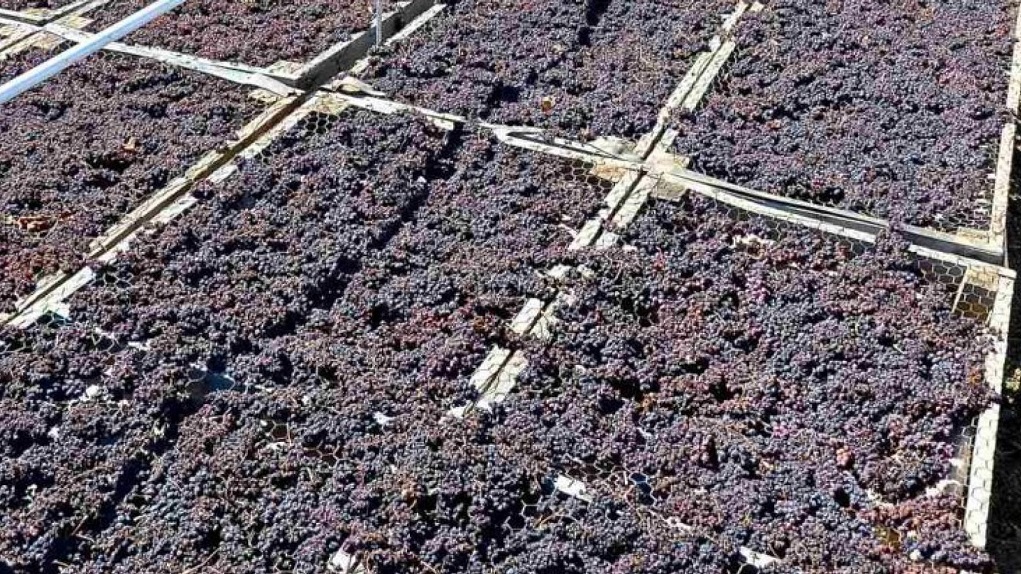 mechri-tis-20-12-i-paradosi-tis-korinthiakis-stafidas-stis-metapoiitikes-epicheiriseis-287437