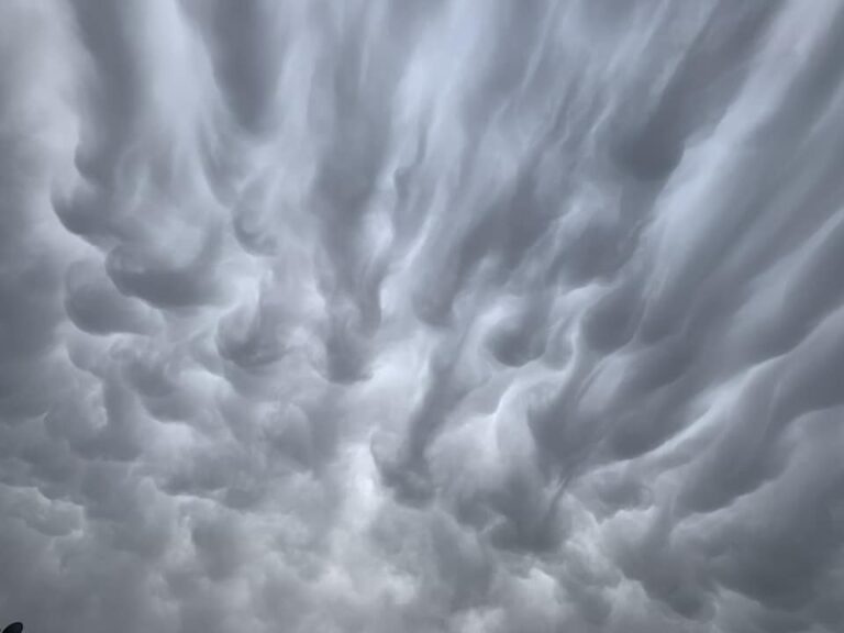ta-entyposiaka-spania-nefi-mammatus-emfanistikan-se-messinia-kai-lakonia-289441