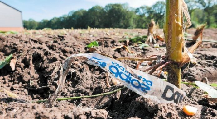 --plastic2_700x385