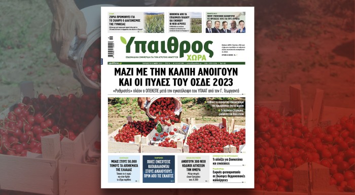 diavaste-stin-ych-mazi-me-tin-kalpi-anoigoun-kai-oi-pyles-tou-osde-2023-292239