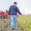 Άνοιγμα και λειτουργία ΟΣΔΕ, πληρωμές ενισχύσεων και εφαρμογή ΚΑΠ ζητούν από τον υπηρεσιακό υπουργό οι αγρότες