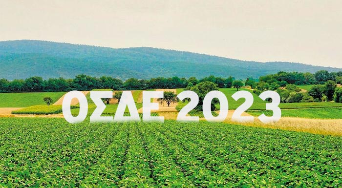 ti-gnorizoume-mechri-stigmis-gia-to-osde-2023-292910