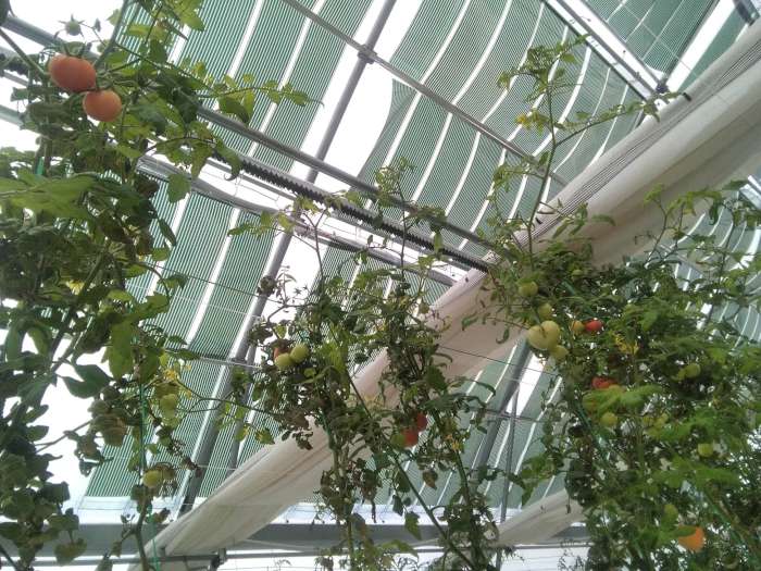 to-protoporiako-thermokipio-tis-oet-stin-agroexpo-2023-293549