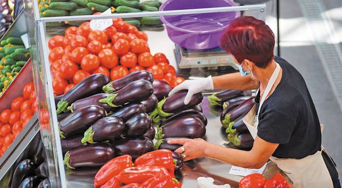 roumania-stochos-i-dimiourgia-kratikou-diktyou-gia-frouta-kai-lachanika-293339
