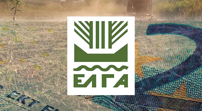 elga-ektos-kanonismou-i-pleionotita-ton-apozimioseon-295397
