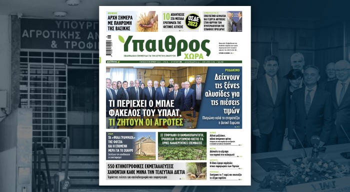 diavaste-stin-ych-ti-periechei-o-ble-fakelos-tou-ypaat-ti-zitoun-oi-agrotes-295873