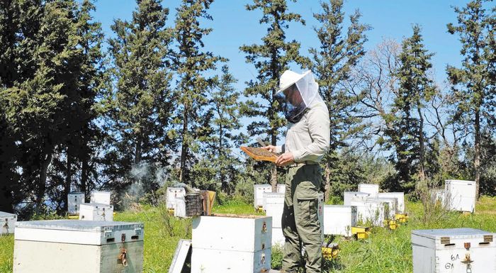 defteros-panelladika-o-nomos-kilkis-stis-melissokomikes-taftotites-293894