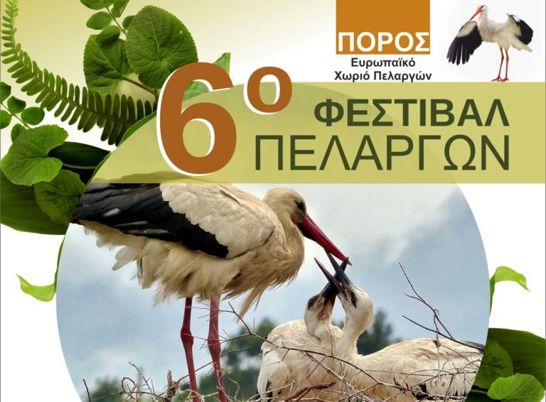 xekina-to-6o-festival-pelargon-ston-poro-feron-293735