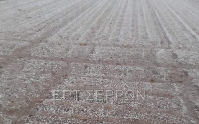 watermarked-352100665_797643765018430_6392687108084199476_n-1024x639-1-768x479