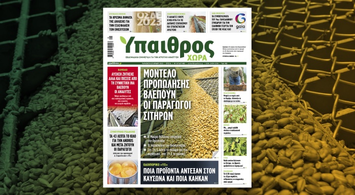 diavaste-stin-ych-montelo-propolisis-vlepoun-oi-paragogoi-sitiron-297448