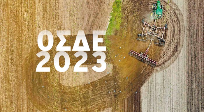 osde-2023-ta-krisima-vimata-tis-dilosis-gia-tin-exasfalisi-ton-enischyseon-297615
