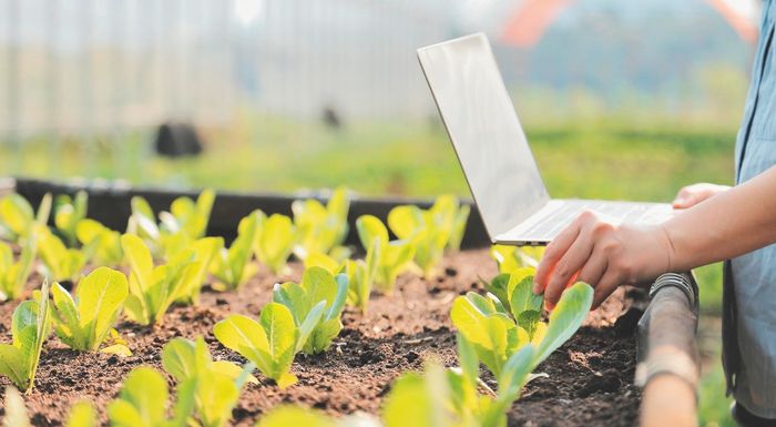 psifiaki-georgia-ti-pistevoun-gia-ti-dimosiopoiisi-prosopikon-dedomenon-oi-agrotes-296272