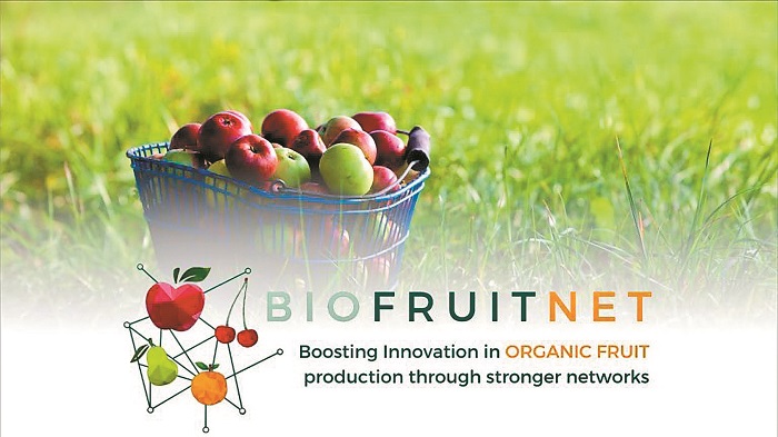 biofruitnet-enischyontas-ti-gnosi-kai-ta-diktya-ton-paragogon-viologikon-frouton-tis-ee-299306