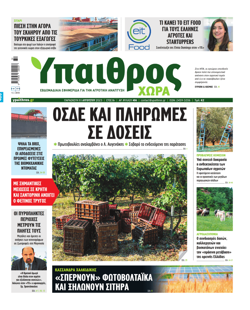fyllo-406-paraskevi-11-avgoustou-2023-298900