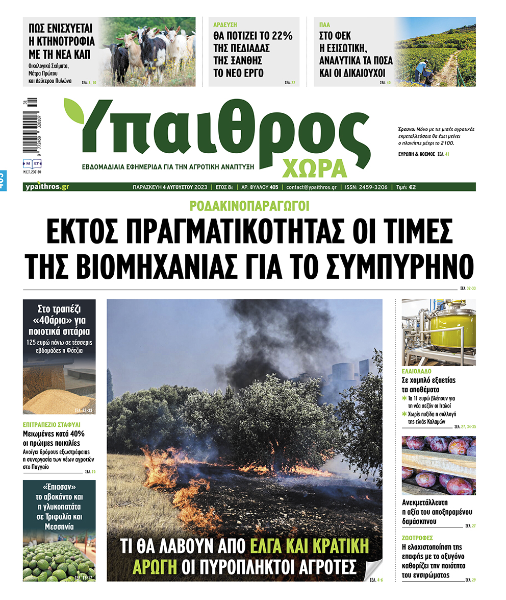 fyllo-405-paraskevi-4-avgoustou-2023-298557