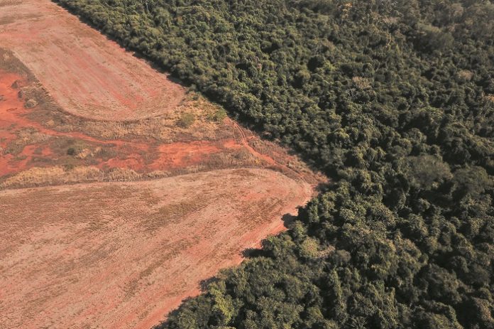 FILE PHOTO: Scientists from the State University of Mato Grosso identify signs of climate change on the border between Amazonia and Cerrado