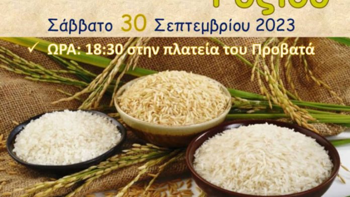 23i-giorti-ryziou-sabbato-30-septembriou-probata-serron